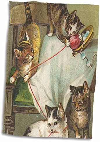 3 דרוז TnmpastPastperfect בעלי חיים חתולים - שובבות עם חוט - מגבות