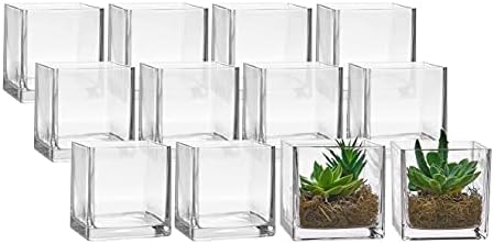 סט פרנו בתפזורת של 12 אגרטלים מרובעים מזכוכית 5 x 5 אינץ ' - אגרטל פרחים צורה ברורה, בעלי נרות - מושלם כמרכזי