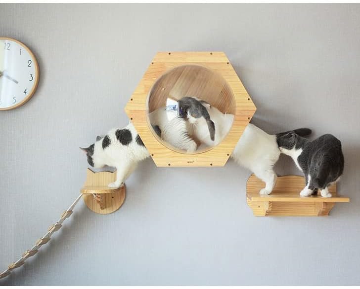 חתול צעצוע חתול גשר סולם טיפוס מסגרת חתול עץ בית עץ חתלתול קפיצות פלטפורמת עשה זאת בעצמך לחיות מחמד ריהוט בית לשחק קיר