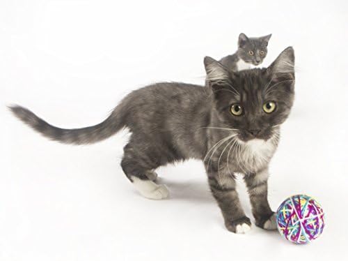 קטגוריות קיטי קיטי גדול רב צבע-חוט כדור חתול צעצוע עם רעשן