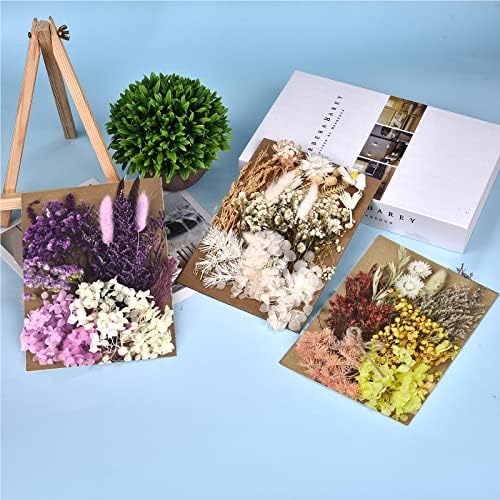 דלארן 6 חבילות פרחים יבשים לייצור נרות ייצור DIY פרחים יבשים לחוצים פרחים טבעיים מרובים פרחים דקורטיביים פרחים מיובשים
