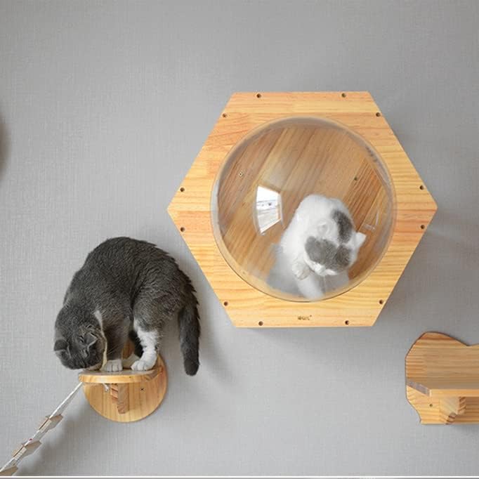 קיר רכוב חתול טיפוס מסגרת חתול עץ חתול צעצוע קפסולת חלל לשחק בית מערת חתלתול צעצוע מיטת עץ לחיות מחמד ריהוט