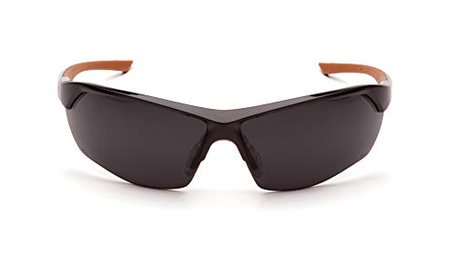 Carhartt-CHB1120DT Braswell אנטי ערפל משקפי בטיחות הגנה על עיניים, מסגרת שחורה, עדשה אפורה