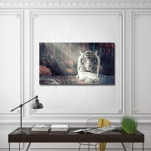 מדיטציית נמר לבן דרקימו הדפסי תמונה על בד אמנות קיר בעלי חיים ציורי יצירות אמנות זן לקישוט הבית נמתח וממוסגר מוכן
