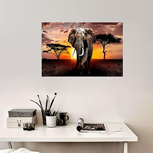 3069 בד קיר אמנות פיל תמונה אפריקאי חיות בר יצירות אמנות ציור הדפסת לסלון חדר שינה מטבח בית ולמשרד קיר תפאורה