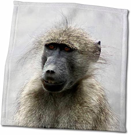 3drose Sven Herkenrath Animal - תמונה של קוף מצחיק חיות בר - מגבות