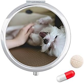 לבן כלב חיות מחמד בעלי החיים חמוד תמונה גלולת מקרה כיס רפואת אחסון תיבת מיכל מתקן