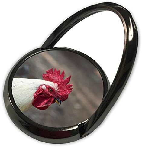 3drose Alexis Photography - בעלי חיים עופות - ראש אדום של תרנגול לבן. עופות ביתיים בחצר החווה - טבעת טלפון