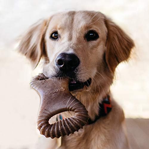 Benebone Dental Dentiment Dog Chew צעצוע לעיסות אגרסיביות, בייקון אמיתי, מיוצר בארהב, קטן