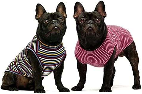 FITWARM 2-חבילה כותנה חולצת כלבים מפוספסים לבגדי חיות מחמד חולצות טריקו חתול טי טי נושם סטרצ'י כחול