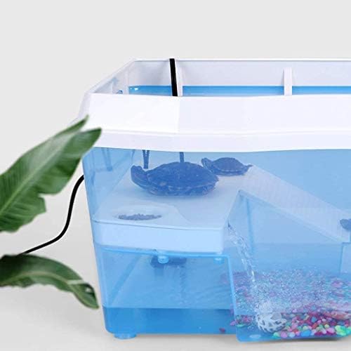 TWDDYC צבים, מיכלי דגים עם טנקים ייעודיים לשולחן ייבוש לצבי חיית מחמד ביתיים קופסת גידול