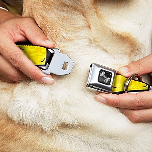 צווארון כלב אבזם חגורת בטיחות טאקו שברון שחור לבן 16 עד 23 אינץ 'ברוחב 1.5 אינץ'