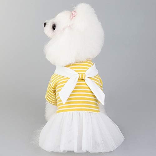 כלב Hjkogh חמוד כותנה חמוד חצאית חיית מחמד אביב קיץ לבנה שמלת תחרה קשת לבן טדי ביצ'ון