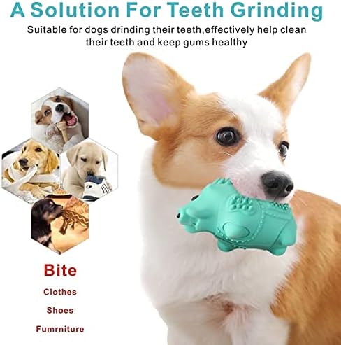 צעצועים לעיסה של כלב אידפט לעיסות אגרסיביות, שיניים גדולות בגזע בינוני שיניים טחינת צעצועים בלתי ניתנים להריסה