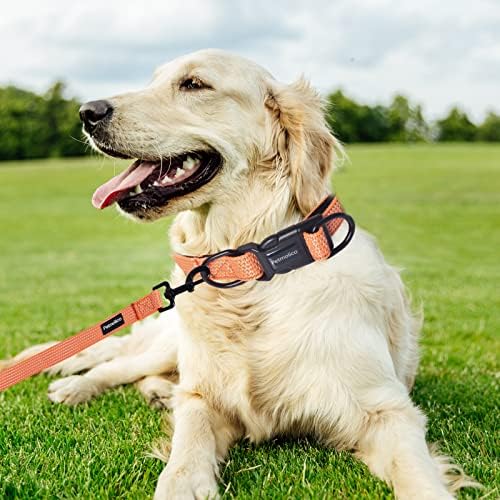 פטמוליקו צווארון כלבים רפלקטיבי ומערכת רצועה, ניאופרן מרופד צווארון כלבים הליכה יומי עם טבעת D כפולה לרצועות כלבים ותגי