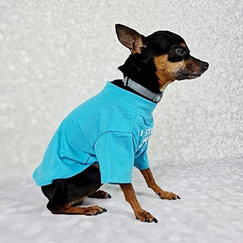 חולצת כלבים בולדוג צרפתי לבגדי חיות מחמד חולצות טריקו חתול טי טריקו תלבושות נמתחות נושמות