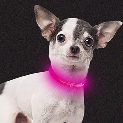 מדליקים צווארוני כלבים קטנים - צווארון כלבי LED אטום למים נטען, רשת מתכווננת צווארון מחמד זוהר, צווארון גור