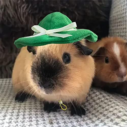 Anelekor Ferret Hat מצחיק אביזרי ראש אוגר מיני חמוד חיות מחמד כובע בעלי חיים קטנים לחולדות חזיר גינאה צ'ינצ'ילה לטאה