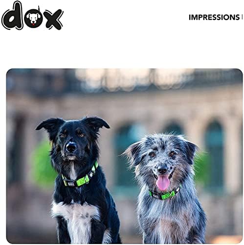 צווארון DDOXX ניילון כלבים - צווארונים חזקים ומתכווננים כלבים - XS