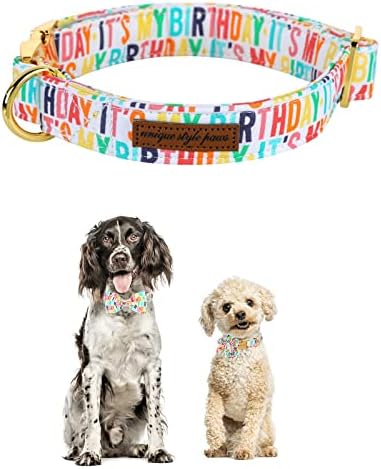 סגנון Unqiue כפות יום הולדת צווארון כלבים, עניבת פרפר כלבים רכה וחמודה, צווארון לחיות מחמד עמיד עם צווארון קשת קשת