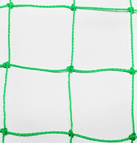 רייסקו קריקט בפועל / גבול גידור כדורגל / פוטסאל / כדוריד ספורט קרקע נטו בטיחות כחול