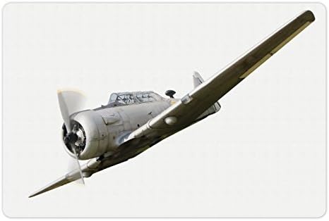 אמבסון בציר מטוס לחיות מחמד מחצלת עבור מזון ומים, היסטורי בציר שנות העשרים מטוסים עף לוחם מדחף כנף טק, מלבן החלקה גומי מחצלת