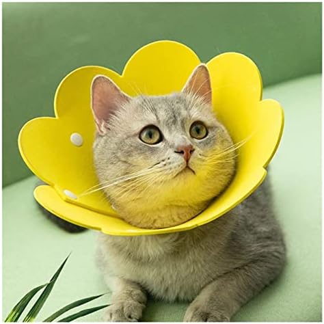 פרח בצורת צווארון חתול פצע ריפוי קונוס מגן אנטי ביס התאוששות קולרים עבור חתלתול גור ספקי