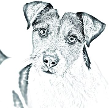 פארסון ראסל טרייר, מצבה סגלגלה מאריחי קרמיקה עם תמונה של כלב
