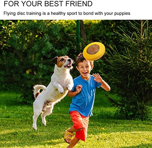מופשט צבע חלודה חום כלב עגול כלב מעופף צעצועים לאילוף קערת אוכל ספורט