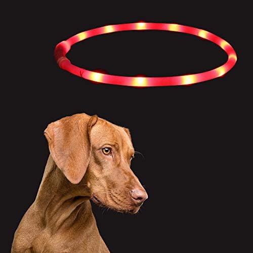 צווארון כלבים של Genkicat LED להליכה בלילה - אטום למים - USB נטען - צווארון בטיחות זוהר לריצה, קמפינג, טיפוס, אופניים