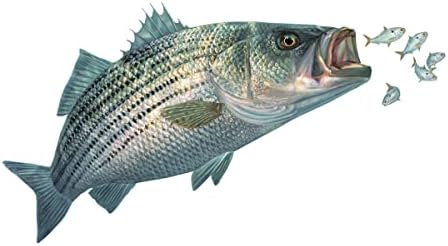 מדבקות דיג בס פסים עם דגי פיתיון שנרדפו על ידי מדבקות דיג חשפניות מדבקות דגים מוגנות על ידי UV ומדבקות Yeti