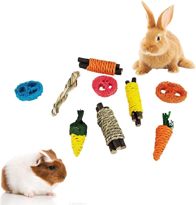 עמק Turnip Pet Pet Conning Toy Toy Toy Amger ארנב ארנב ארנב שיניים שחיקת צעצועים צבע שיניים