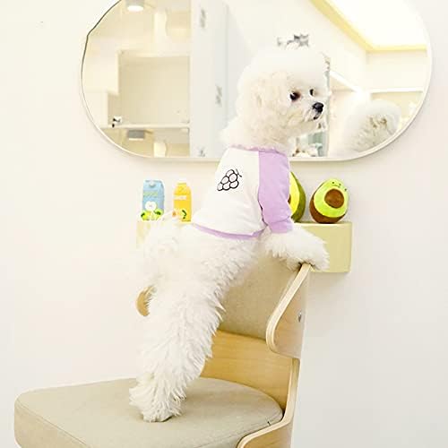 בגדי כלבים של ברמי, סוודר חיות מחמד דפוס פרי דפוס צבע בלוק כותנה כותנה סוודר חולצה של כלב עגול לחיי היומיום