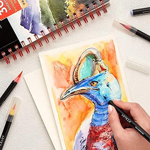 אריזה אריזה אריזת כרית צבעי מים וחבילת עפרונות צבעי מים מקצועיים, ציור ציוד אמנות לאמן, ציירי תחביבים ומתחילים